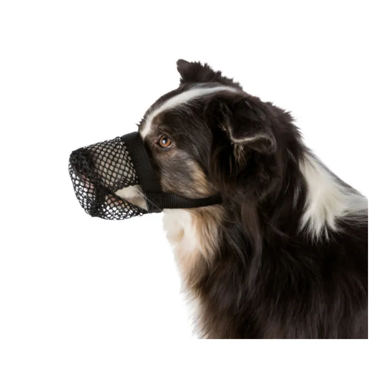 Korpa za pse za zaštitu od otrova L