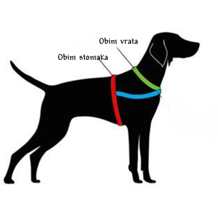 Am za psa Art Coffee H oblika S