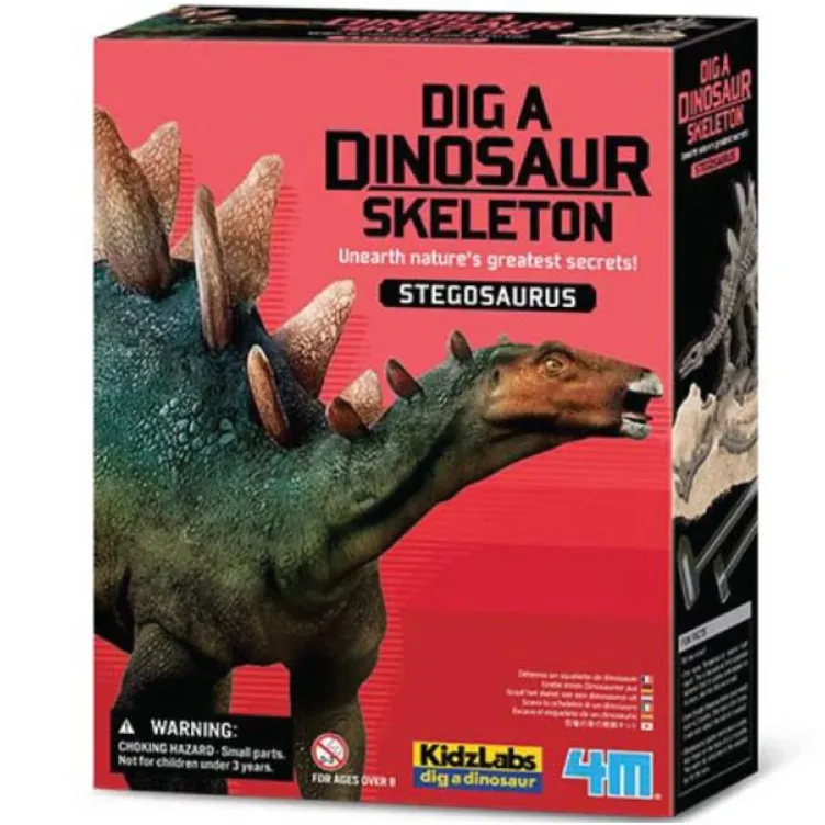 Iskopaj Dinosaurusa Stegosaurus 4M03229 