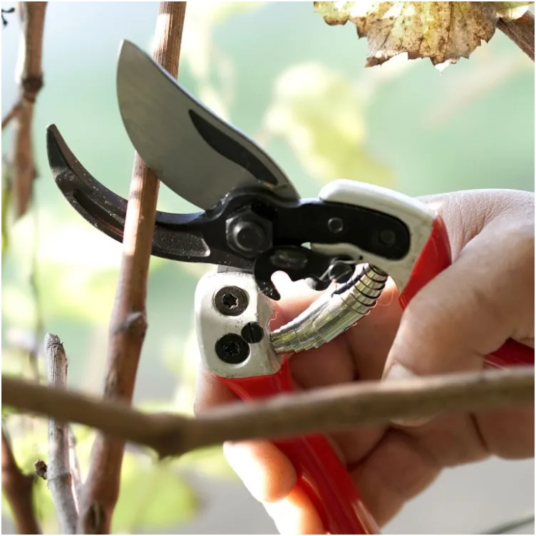 Makaze za orezivanje vinove loze Falket 2112