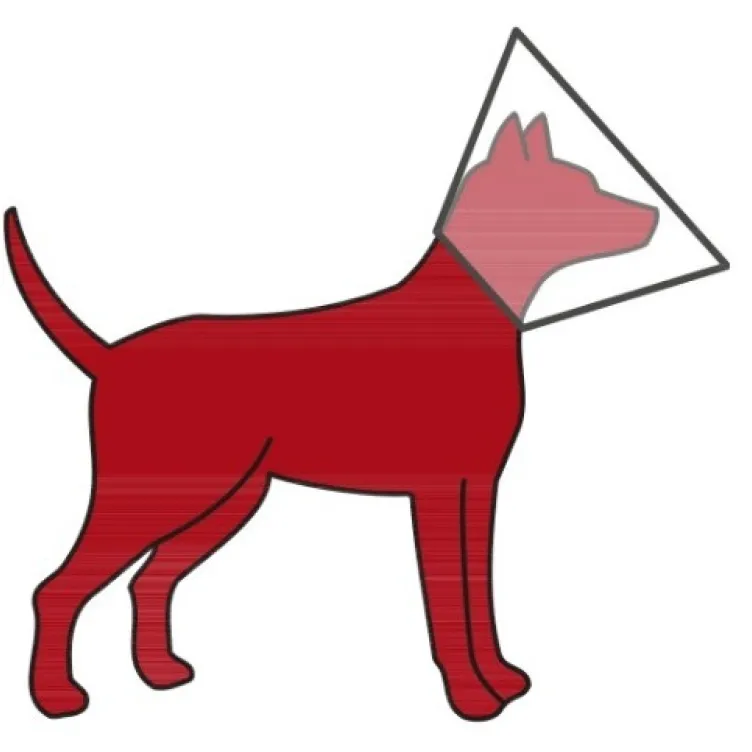 Zaštitna kragna za psa sa čičak trakom 30-37 cm