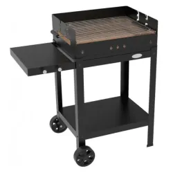 Roštilj na ćumur alost