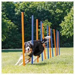 Agility trening slalom štapovi TRIXIE 