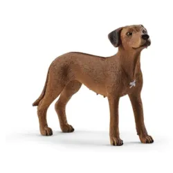 Pas Rodezijski ridzbek