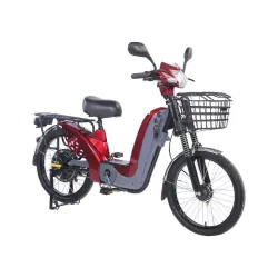 Električni bicikl 22