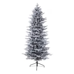 Novogodišnja jelka Grandis fir frosted 150cm
