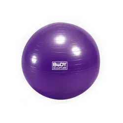 Lopta za pilates 65cm