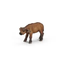 Tele africkog bizona