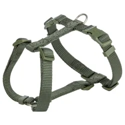 Am Premium H XS-S 30-44cm 10mm Maslinasti 