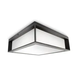 Skies spoljašnja plafonska svetiljka antracit 2x14W 17184/93/16