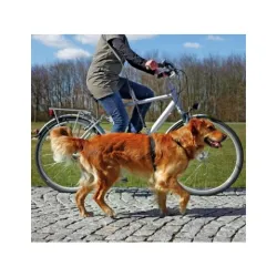 Povodac za bicikl i džogiranje 1-2 m/25mm plavi